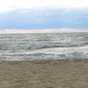 Meet your Posher, Randino2